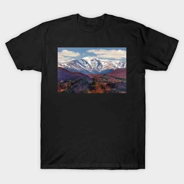 Mountains landscape T-Shirt by naturalis